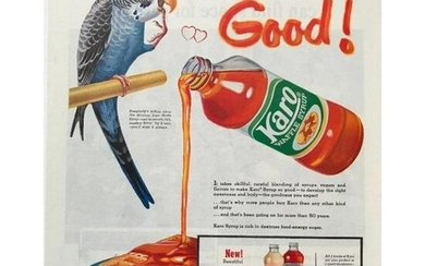 1959 Karo Syrup Parrot Magazine Advertisement