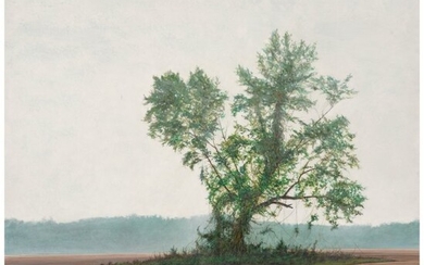 31045: Peter Waite (b. 1950) Field/Tree (Spring), 1999