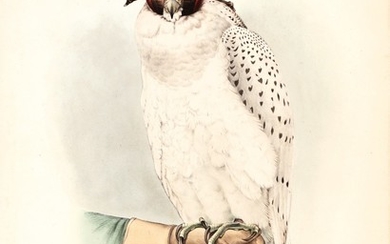 Schlegel | Traite de fauconnerie, 1844-1853
