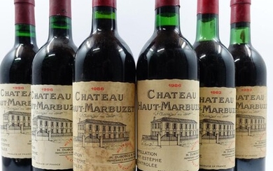 6 bouteilles 2 bts : CHÂTEAU HAUT MARBUZET 1996 Saint Estèphe (étiquettes tachées)