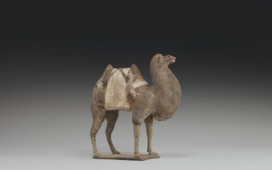 A PAINTED POTTERY FIGURE OF A LADEN CAMEL, NORTHERN WEI DYNASTY (AD 386-557)