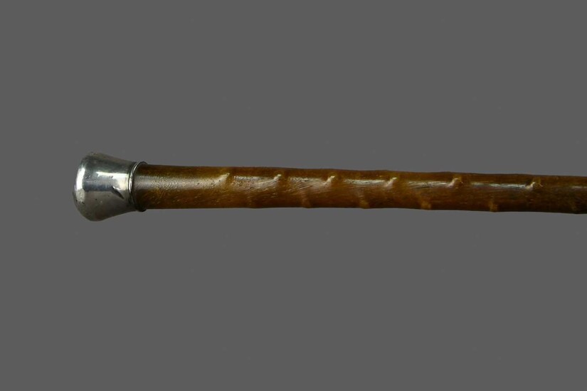 A VICTORIAN WHITE METAL TOPPED CANE