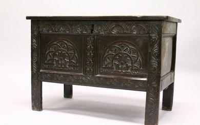 AN 18TH CENTURY OAK COFFER, with two panels to the