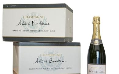 CHAMPAGNE ANDRE BORODINE. (12 bottles)