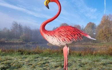 Figure - Levensechte flamingo - Iron (cast/wrought)
