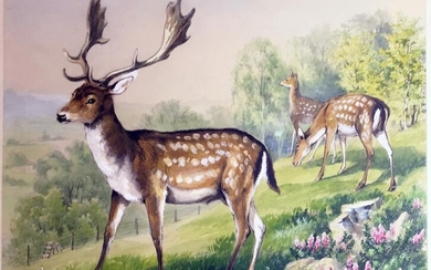 Fleischmann Original Watercolor - Deer