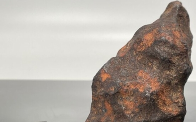 Gibeon meteorite Iron meteorite - 694 g