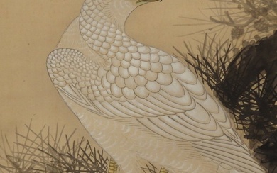 Hanging scroll, Painting - Silk - White Hawk - Oda Hekiyo 小田碧洋 - Japan - Early 20th century