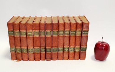 Lot of 13 French leather bound books