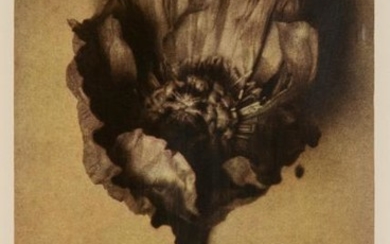 METZNER, SHEILA (b. 1939) Tree Peony