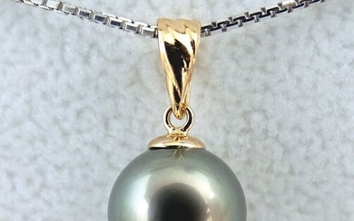 No Reserve Price - Tahitian pearl, Luscious Luster Round AAA 9.88 mm - Pendant, 18 kt. Yellow Gold