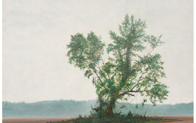 Peter Waite (b. 1950), Field/Tree (Spring) (1999)