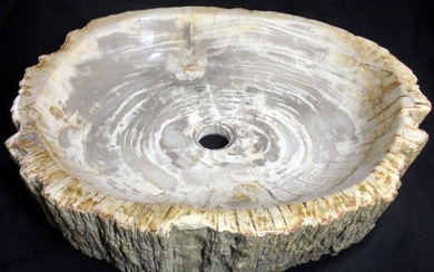 Petrified wood washbasin - Petrified wood - Unknown