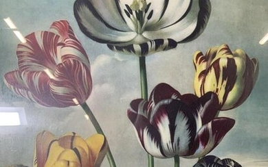 ROBERT JOHN THORTON Tulips Offset Lithograph
