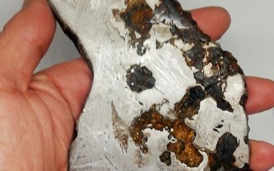 Seymchan XXL meteorite Stony-Iron Meteorite - 442 g