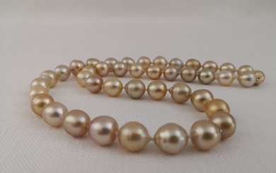 South sea pearls - Necklace
