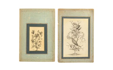 TWO ALBUM PAGE GRISAILLE FLORAL STUDIES Qajar Iran, dated 1258 AH (1842 AD) and 1279 AH (1862 AD), signed Lotf 'Ali