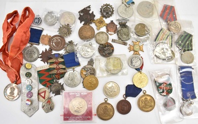 Various commemorative coins and badges, prize medals and medallions, school...