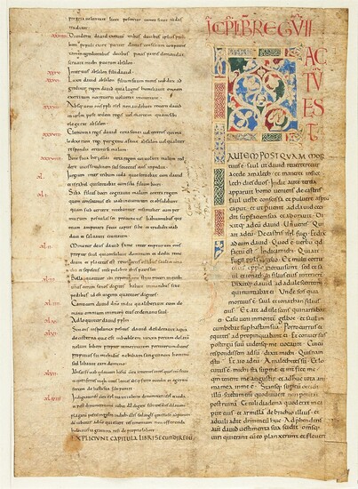 Ɵ Vast white vine initial in Latin, manuscript on parchment [Italy, 12th century]