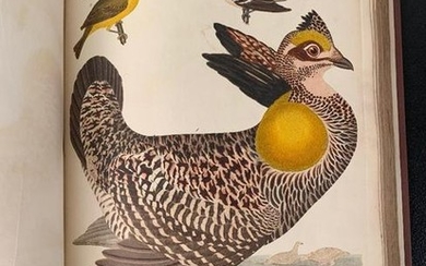 Wilson,Alexander, American Ornithology, Plates