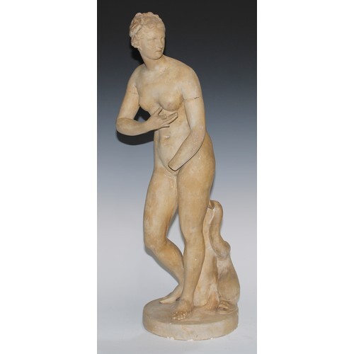 A 19th century Grand Tour plaster library cast, of the Venus...