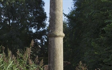 A French Bourgogne limestone column on plinth