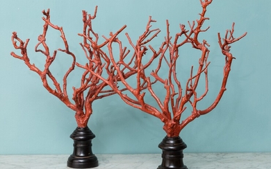 Coppia di rami in legno ad imitazione del corallo. XX secolo