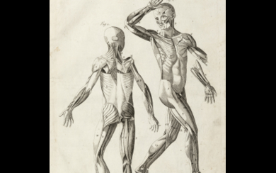EUSTACHI, Bartolomeo (c.1500-1574) - Tabulae anatomicae. Venice: Bartolomeo Locatelli, 1769. An important illustrated work by Eustachi whom, with Vesalius and...