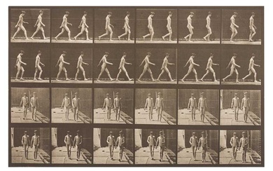 Eadweard Muybridge (1830-1904)