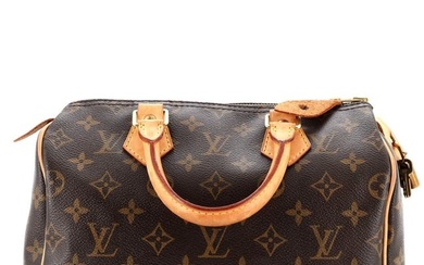 Louis Vuitton Speedy Handbag Monogram
