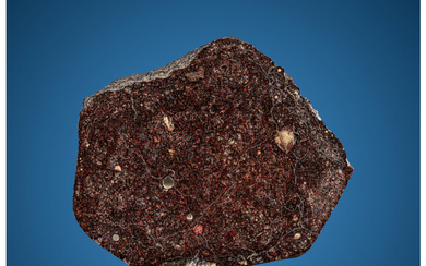NWA 14745 Meteorite End Cut Ordinary Chondrite, LL3 Northwest...
