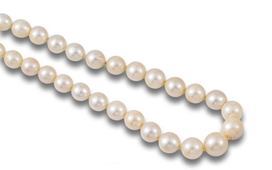 PEARL NECKLACE WITH YELLOW GOLD