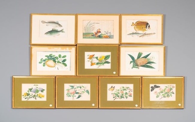 Ten various Chinese rice paper paintings with flora and fauna, Canton, 19/20th C.