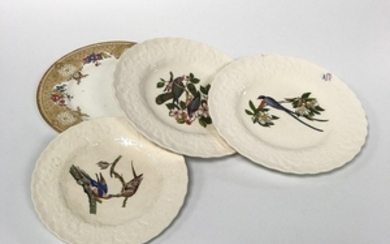 Group of Birds of America Plates