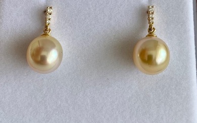 18 kt. Gold - Earring Golden South Sea Pearl - Diamonds