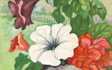 1920's Petunia Color Lithograph Print