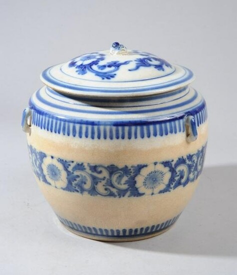 19th C. Chinese Export Blue & White Kamcheng