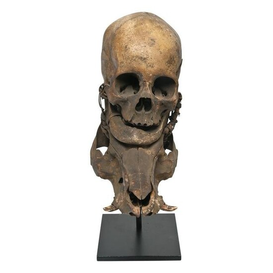 19th Century Ifugao Human Trophy Head Hunting Skull.
