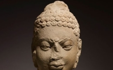 Tête de Buddha Inde, empire Kushan ca 3°-4°…