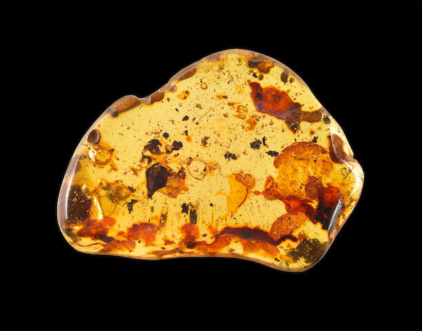 Amber with Rare Enhydro Inclusion