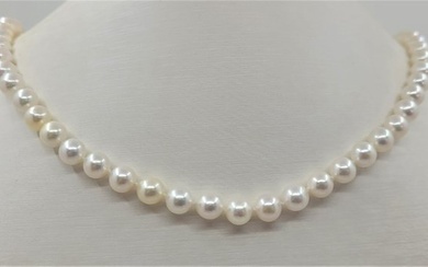 6.5x7mm Round Akoya Pearls - Necklace - 14 kt. Yellow gold