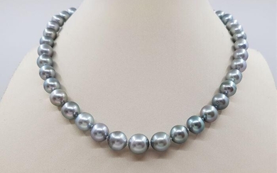 8x11mm Silvery Green Tahitian Pearls - 14 kt. White