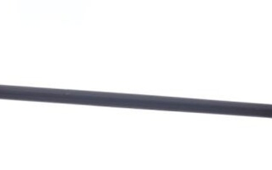 AN EBONY WALKING CANE WITH HORN TIP AND BRASS COLLAR