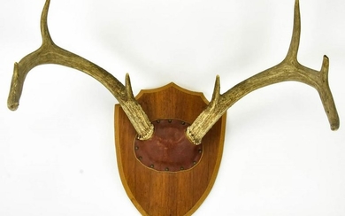 Antique Black Forest Style Deer Antlers on Shield