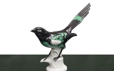 Bird in black and green tones