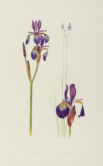 Botany.- Dykes (William Rickatson) The Genus Iris