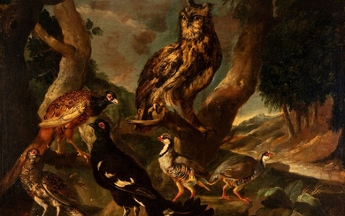 Dutch School, XVII century. "Birds". Oil on canvas.