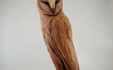 Federico Alibrio - Barn owl