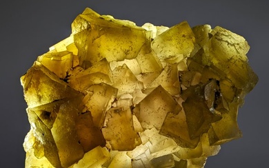 Huge YELLOWISH-GREENISH FLUORITE, large cubic crystals Crystals on matrix - Height: 110 mm - Width: 61 mm- 848.52 g - (1)