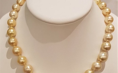 NO RESERVE PRICE - 14 kt. Yellow Gold - 11x13.5mm Golden South Sea Pearls - Necklace